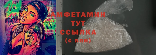 сатива Абаза