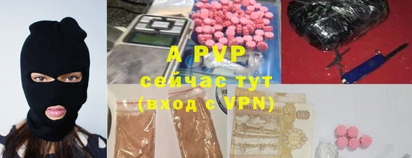 сатива Абаза