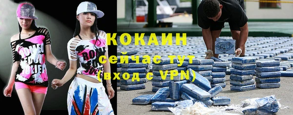 МДПВ Няндома