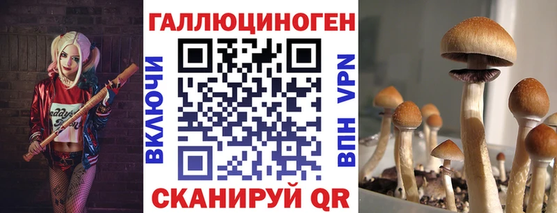 Галлюциногенные грибы GOLDEN TEACHER  Стрежевой 
