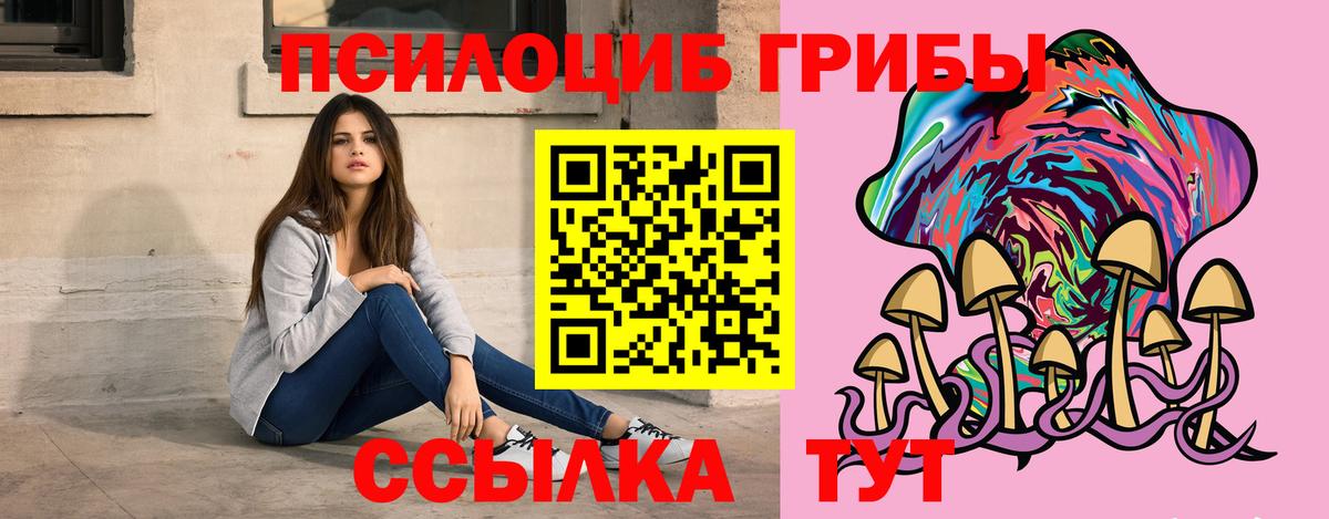Псилоцибиновые грибы Psilocybine cubensis Стрежевой