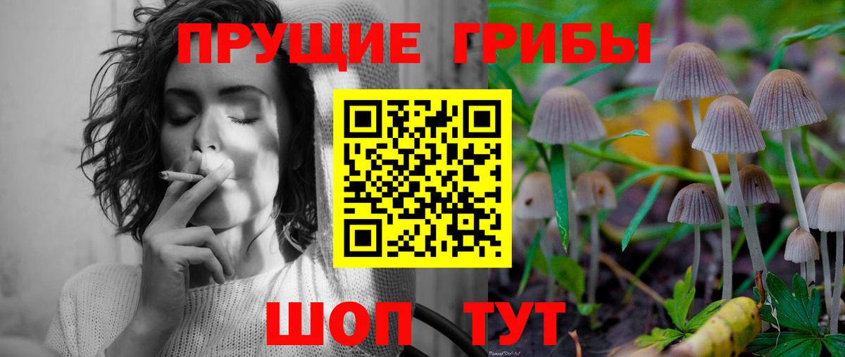 Псилоцибиновые грибы Magic Shrooms  Вход с VPN  Стрежевой 